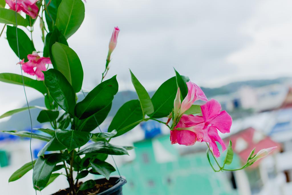 Rk Guesthouse Patong Kültér fotó